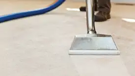 Carpet cleaning wand head gliding over a light carpet during hot-water extraction, Duluth, MN.